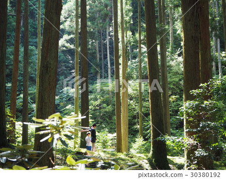 樹木生長和父母，大岩神社，力量點，茨城縣，日本 30380192