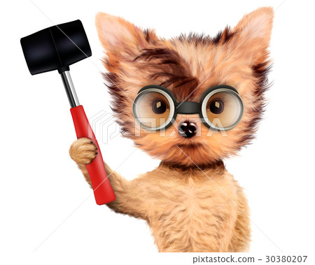 Funny dog with hammer Isolated on white Funny dog with hammer Isolated on white 30380207