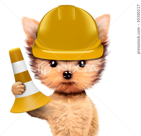 Funny dog in yellow hard hat Isolated on white Funny dog in yellow hard hat Isolated on white 30380217