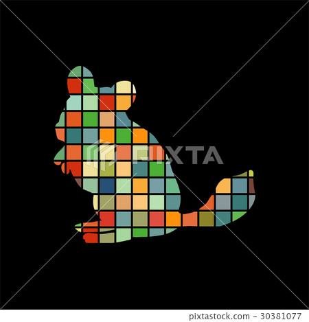 Chinchilla pet rodent color silhouette animal 30381077