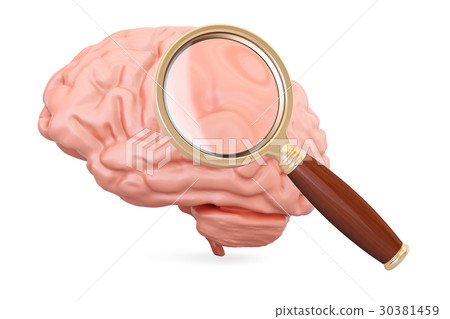 human brain with magnifier, 3D rendering human brain with magnifier, 3D rendering 30381459