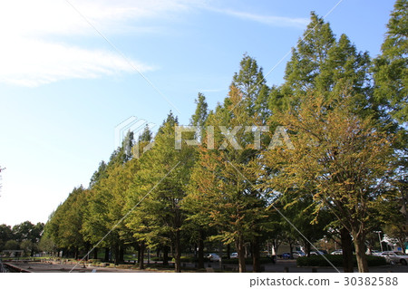 Early autumn scenery Early autumn scenery 30382588