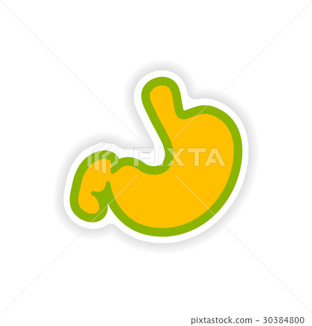 paper sticker on white background human stomach 30384800