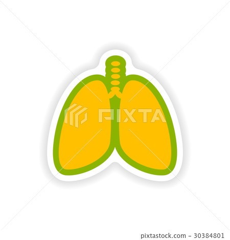 paper sticker on white background human lungs paper sticker on white background human lungs 30384801