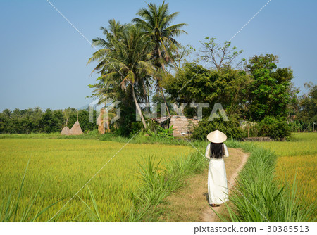 Landscape of countryside in Mekong Delta, Vietnam Landscape of countryside in Mekong Delta, Vietnam 30385513
