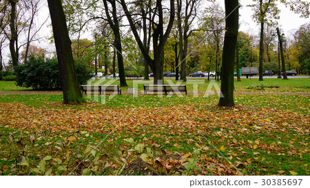 Autumn scenery in the park Autumn scenery in the park 30385697