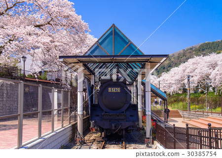 [神奈川縣] SL在櫻花季節的山北站展出 30385754