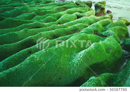 老梅綠石槽 30387780