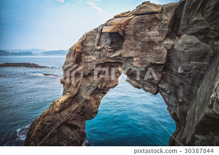 Deep Macao horns 30387844