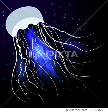 Shiny jellyfish on dark background. Shiny jellyfish on dark background. 30388223