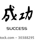 Vector image of means success 30388295