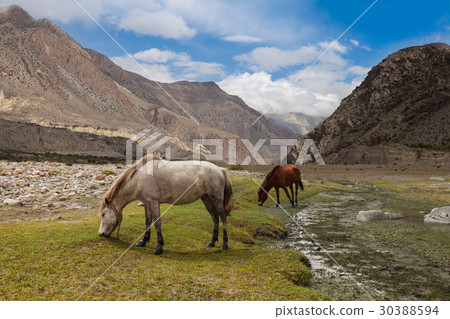 Himalayas mountains landscape, Annapurna range. Himalayas mountains landscape, Annapurna range. 30388594