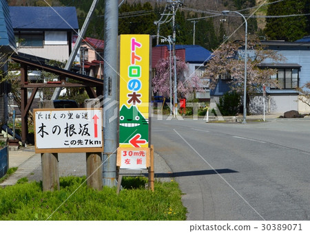 Guide to Totoro's tree signboard 30389071