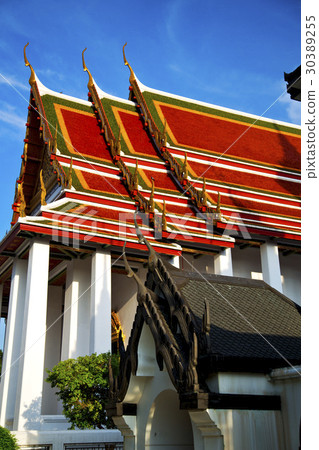bangkok   temple  thailand abstract  plant 30389255