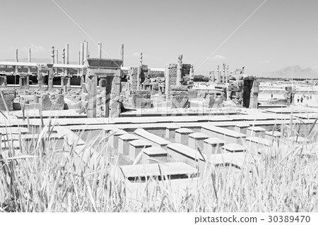in iran persepolis in iran persepolis 30389470