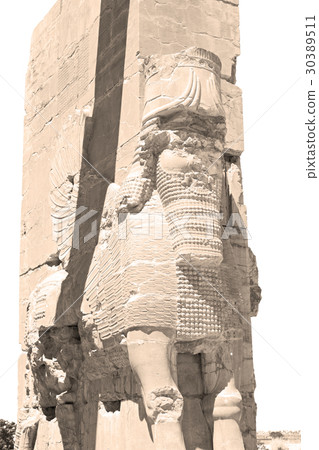 in iran persepolis in iran persepolis 30389511