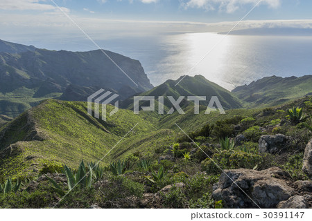 Mountains on Tenerife and sea 30391147