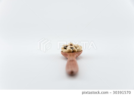 isolate white beans on object 30391570