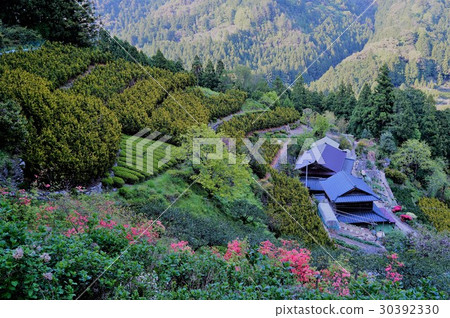 Terraced fields 30392330