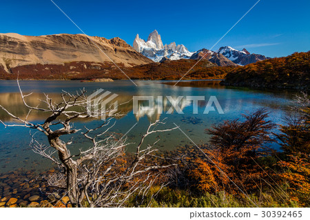 Autumn in Patagonia. Fitz Roy, Argentina Autumn in Patagonia. Fitz Roy, Argentina 30392465