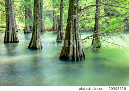 Sasaguri Kyudai no Mori Sasaguri Kyudai no Mori 30392836