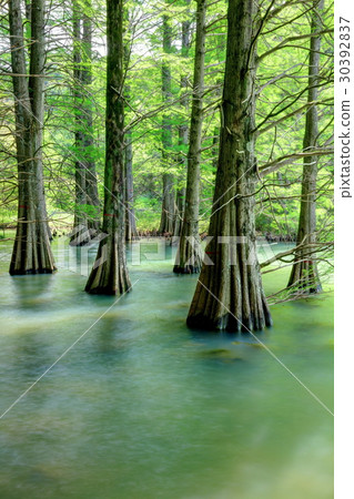 Sasaguri Kyudai no Mori Sasaguri Kyudai no Mori 30392837