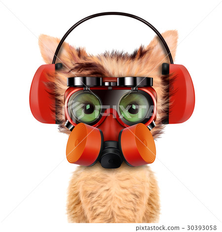 Funny dog with respirator isolated on white Funny dog with respirator isolated on white 30393058
