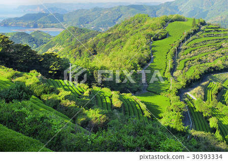 Chayama在地下室 Chayama在地下室 30393334