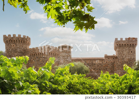 castle 30393417