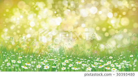 Vector summer nature background. Vector summer nature background. 30393480