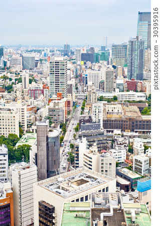 bird eye aerial view of Tokyo cityscape, Japan 30395916