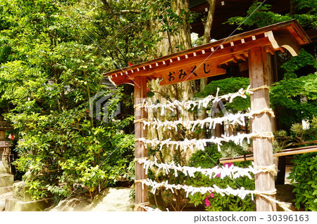 Omikuji 30396163