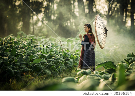 Laos women holding umbrella walking Laos women holding umbrella walking 30396194
