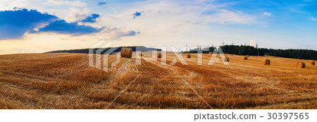 Field with straw bales Field with straw bales 30397565