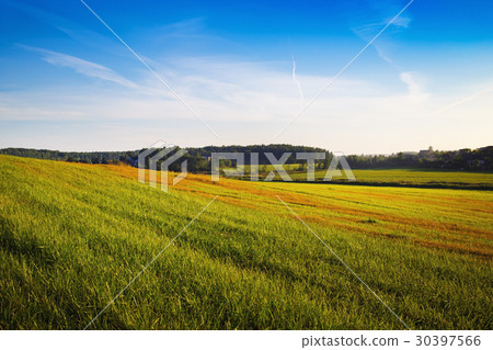 Field in the countryside Field in the countryside 30397566