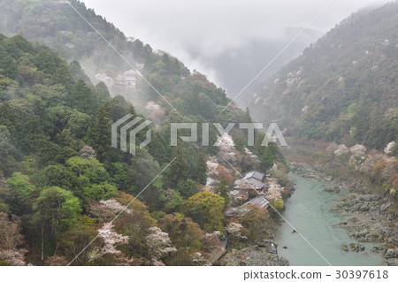 Arashiyama Hozugyo Valley 30397618
