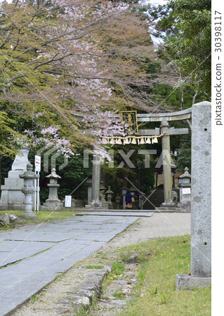 靖國神社(鹽釜神社) 靖國神社(鹽釜神社) 30398117