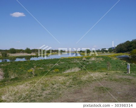 多摩河和小栗河的交匯點 30398314