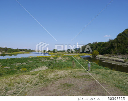 多摩河和小栗河的交匯點 30398315