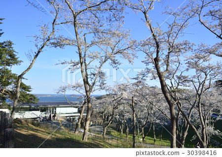 Nishiyuki回來的媽祖公園公園的風景（日本產經松島） 30398416