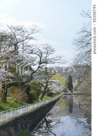 Sendai Castle Sannomaru moat Sendai Castle Sannomaru moat 30398745