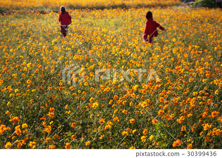夕陽小女孩奔跑花田Girls running through a field of flowers 夕陽小女孩奔跑花田Girls running through a field of flowers 30399436