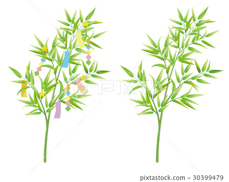 Strips and bamboo grass 30399479