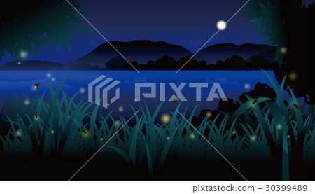 Summer night fireflies 30399489