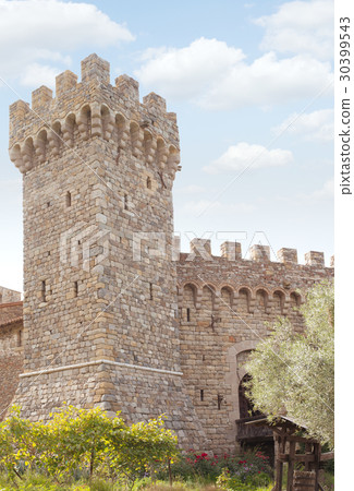 tower 30399543