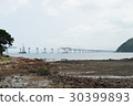 Pearl Harbor Bridge 30399893