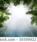 Christmas Background 30399922