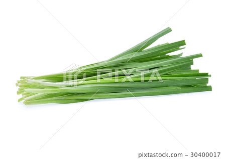 Garlic chives isolated on white background 30400017