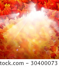 Autumn Fall Background with Red Maple Leaves 30400073