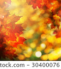 Autumn Background with Maple Leaves. Fall Border 30400076